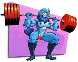 anthro areola avian big_breasts bird blue_areola blue_nipples breasts crouching exercise feathers feet female hi_res martlet_(undertale_yellow) muscular muscular_anthro muscular_female nipples non-mammal_breasts non-mammal_nipples solo tail tail_feathers tilingart undertale_(series) undertale_yellow weightlifting workout