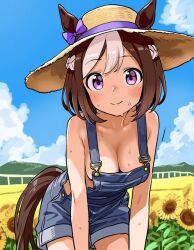 ai_generated animal_ears breasts brown_hair female horse_girl multicolored_hair purple_eyes special_week_(umamusume) umamusume umamusume_pretty_derby