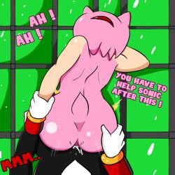 amy_rose anthro cum duo female male male/female sega shadow_the_hedgehog sonic_(series) sonic_the_hedgehog_(series) soulyagami64 vaginal_penetration