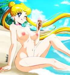 usagi tsukino from bishoujo senshi sailor moon by danmakuman