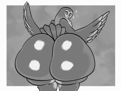 ass ass ass_focus avian big_ass big_butt bird borisalien bottom_heavy bubble_butt butt_focus feathers green_skin grey_body grey_eyes grey_fur greyscale huge_butt hyper_ass hyper_butt looking_at_viewer looking_back owl solo tail_feathers wings