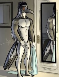 abs anthro avian balls bedroom ben_(bgn) bgn bird black_body black_feathers cuculiform door feathers feet flaccid foreskin genitals grey_body grey_feathers humanoid_feet looking_at_mirror looking_at_object male male_only mirror multicolored_body multicolored_feathers muscular muscular_anthro muscular_male new_world_ground_cuckoo nipples nude pecs penis reflection roadrunner solo tail_feathers towel white_body white_feathers