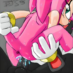 amy rose from sonic (series) by hotred