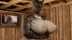 16:9 1girls 3d 3d_(artwork) animated anthro areola bethesda_softworks big_breasts big_butt breasts butt butt_jiggle curvy_figure digital_media_(artwork) fade_out felid female female_only front_view fur grey_body grey_fur hand_on_butt holding_breast huge_breasts huge_butt inside jiggling khajiit looking_at_viewer looking_back mammal mp4 naked nipples no_sound nude presenting presenting_breasts rear_view seductive shaking_butt short_playtime solo solo_female standing tagme the_elder_scrolls thick_thighs video video_games voluptuous webm whiskers wide_hips widescreen zenith741