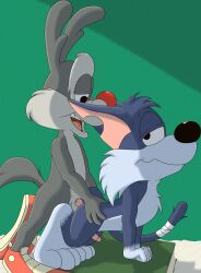 anthro calamity_coyote canid canine couple couple_(romantic) couple_love coyote domestic_cat felid feline furrball gay male male/male male_only smooth_fur tiny_toon_adventures warner_brothers