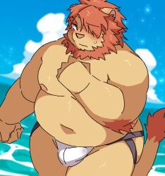 2022 anthro belly big_belly blush bulge cloud felid genital_outline hi_res kemono lifewonders lion male male_focus male_only mammal moobs navel nipples overweight overweight_male oz_(tokyo_afterschool_summoners) pantherine penis_outline ptcmtr solo tokyo_afterschool_summoners video_games water