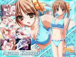 akiyama_junichi bikini bra breast_grab breasts brown_eyes brown_hair bunny_ear censored character_name cleavage female frilled_bikini frills fumio game_cg hair_ribbon kunugi_ayano lingerie long_hair male paizuri penis pia_carrot_(series) ribbon sex side-tie_bikini smile straight swimsuit tied_hair twintails underwear upright_straddle vaginal_penetration waitress wallpaper welcome_to_pia_carrot_g.o.