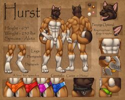 1boy akita canine collar hurst looking_at_viewer male male_only model_sheet muscles nipples piercing sheath solo thong tongue wink yellow_eyes