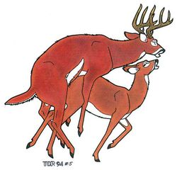 1990s Rule 34 Image