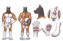 1boy akita canine_penis erection hurst knot looking_at_viewer male male_only model_sheet muscles nipples paws penis ratcandy sheath smile solo yellow_eyes