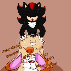 anthro ass big_butt blush duo female large_breasts male male/female sega shadow_the_hedgehog sonic_(series) sonic_the_hedgehog_(series) soulyagami64 vanilla_the_rabbit