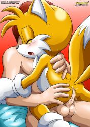 2boys anal anal_sex anthro anus balls bbmbbf closed_eyes fox gay human human_on_anthro male male/male male_only mobius_unleashed nude open_mouth palcomix penis randomguy999 sega sex sonic_(series) sonic_the_hedgehog_(series) tails tears tongue yaoi