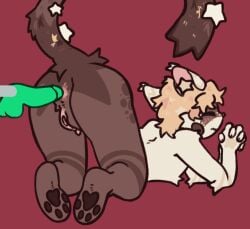 2d_animation anal anal_penetration andromorph animated animated_gif anthro ass_up blonde_hair blush brown_body brown_fur butt canid canine digital_media_(artwork) dildo eyes_closed fucking_machine fur genitals hair intersex intersex_penetrated machine mammal nude penetration sex_toy sex_toy_insertion short_playtime solo tail tan_body tan_fur trans_(lore) trans_man_(lore) zee_(zeeble) zeeble