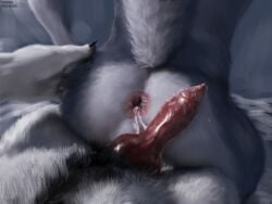 4:3 after_anal animal_genitalia animal_penis anthro anus anus_focus bodily_fluids butt butt_grab canid canine canine_genitalia canine_penis canis cum cum_covered_penis cum_from_ass cum_in_ass cum_inside duo erection first_person_view fluffy genital_fluids genitals grey_body hand_on_butt high-angle_view knot male male/male mammal penis raised_head signature simple_background virtyalfobo wolf