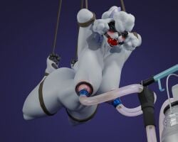 3d_(artwork) 4_toes 5:4 anthro ball_gag bdsm blindfold bodily_fluids bondage bound breast_milking canid canine canis digital_media_(artwork) domestic_dog epic_games feet female fortnite gag gagged hands_behind_head heartbrkrskully hi_res lactating lady_poodlina legs_tied looking_pleasured machine mammal milking_machine pawpads poodle simple_background solo submissive submissive_anthro submissive_female suspension suspension_bondage toes