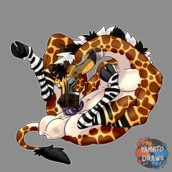 1:1 absurd_res animal_genitalia animal_penis anthro autofellatio balls curry_(yamatopawa) equid equine equine_genitalia equine_penis genitals giraffe giraffid hi_res hybrid lemon_testicles male mammal masturbation oral oral_masturbation penile penile_masturbation penis solo yamatopawa zebra