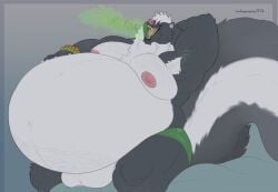 anthro arm_hair armpit_hair balls belly big_balls big_belly black_body black_fur bloated body_hair burp_cloud burping chest_hair clothing fur genitals hi_res huge_belly male mammal mephitid moobs musclegut muscular nipples open_mouth skunk smokeygraypaws solo underwear white_body white_fur