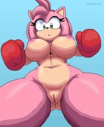 amy_rose chunkiroll
