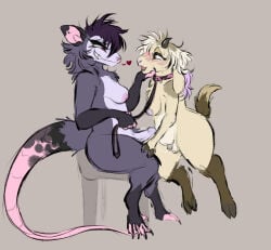 american_opossum anthro areola balls black_eyeliner blush blush_lines bovid brown_body brown_eyes brown_fur caprine chair collar digital_drawing_(artwork) digital_media_(artwork) dominant dominant_anthro dominant_gynomorph dominant_intersex duo english_description erection eye_contact eyeliner fossilprey fur furniture genitals gloves_(marking) goat grey_background grey_body grey_fur gynomorph gynomorph/gynomorph heart_symbol hi_res holding_leash holding_object horn humanoid_genitalia humanoid_penis intersex intersex/intersex leaking_penis leash leashed_collar leg_markings looking_at_another looking_pleasured makeup mammal markings marsupial mochie_(cleothebirb) nipples nude_gynomorph on_chair open_mouth penis pink_areola pink_inner_ear pink_nipples pink_nose pink_tail red_eyes simple_background sitting sitting_on_chair small_penis socks_(marking) submissive submissive_gynomorph submissive_intersex tail thick_thighs virginia_opossum vivian_(hisstress) wearing_collar wide_hips yellow_body yellow_fur