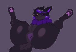 anthro anus axolaugh black_body black_fur black_hair bottomless butt canid canine canis clothed clothing female fur genitals hair heterochromia hi_res highlights_(coloring) holding_both_legs looking_at_viewer mammal orange_eyes pawpads presenting presenting_anus presenting_hindquarters presenting_vulva purple_eyes purple_highlights simple_background smile smiling_at_viewer solo sweater sweater_only topwear topwear_only vulva wolf