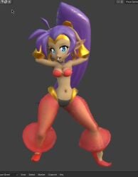 1girls 3d animated blender dancing long_hair looking_at_viewer mp4 navel purple_hair see-through_clothing shantae shantae_(character) solo tagme video