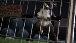 anthro balls black_body black_fur blizzard_entertainment breasts collar edricmarcry english_text exposed_breasts fence fur futanari genitals grass green_eyes herm hi_res intersex looking_at_viewer mammal night outside pandaren penis plant rock sign smile solo spiked_collar spikes standing text tongue ursid video_games wall_(structure) warcraft white_body white_fur