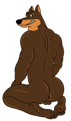 anthro anus ass balls barefoot blitz_(road_rovers) brown_body brown_fur canid canine canis dobermann domestic_dog feet fur genitals hi_res looking_at_viewer looking_back male male_focus male_only mammal multicolored_body multicolored_fur muscular muscular_anthro muscular_male nightfox90 nude pinscher road_rovers sharp_teeth smile smirk solo teeth toes two_tone_body two_tone_fur wrinkled_feet