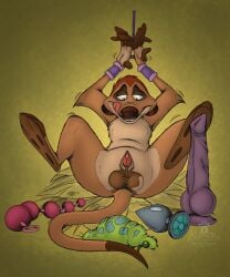 atimon cuff_(restraint) dildo disney feet genitals handcuffs herpestid licking male male/male mammal meerkat metal_cuffs penis restraints sex_toy the_lion_king timon tongue tongue_out