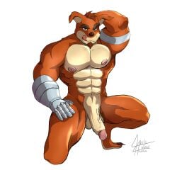 absurd_res activision anthro balls barefoot bedroom_eyes crash_(series) crunch_bandicoot fectofalsus feet fur genitals hi_res looking_at_viewer male male_focus male_only muscular narrowed_eyes nipples nude penis seductive solo tongue vein video_games