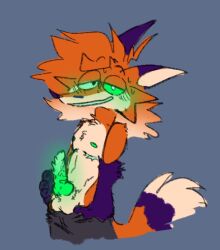 amber_(foxi_boxi) animal_genitalia animal_penis animation_meme_community anthro blush boximorph embarrassed foxi_boxi furry genderbent knot knotted_penis pants_pulled_down presenting_penis rule_63 smirking standing sweating