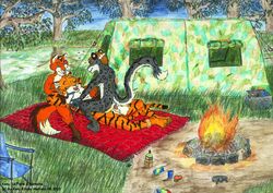 2010 anthro campfire canine evening feline fox fur furry konu_eikuku_hentaru letigre natasha penetration sex snow_leopard tent tiger vaginal_penetration xaafw yiffy