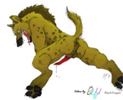 1boy 2007 all_fours anus balls blackteagan colored d4u_(artist) erection hyena male male_only open penis pose precum raised_tail solo spots spreading tail tongue