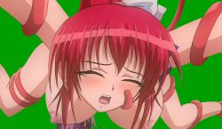 animated blush bondage bouncing_breasts bound breasts clenched_teeth closed_eyes female free_material green_background inyouchuu inyouchuu_shoku large_breasts nipples object_insertion open_mouth ponytail red_hair restrained shiratori_mikoto spread_legs tagme teeth tentacle tentacle_sex transparent_background video