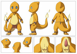 1boy 9_6 anus balls charmander fire loincloth male male_only model_sheet nintendo penis pokémon_(species) pokemon pokemon_rgby shiny_charmander shiny_pokemon solo tail tail_fire underwear