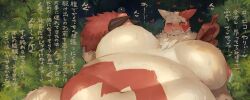 generation 3 pokemon from nintendo by syuro