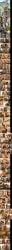 Booru post from rule34.xxx