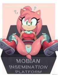 amy rose from sonic (series) by cranihum