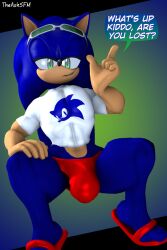 1boys 3d 3d_(artwork) ? anthro anthro_male anthro_only ash555 blue_fur bulge bulge_through_clothing commission dialog dialogue dialogue_bubble goggles goggles_on_head green_eyes hand_on_hip hedgehog hedgehog_boy hedgehog_ears hedgehog_humanoid male_only mobian mobian_(species) mobian_hedgehog mouth_opened muscular muscular_anthro muscular_male open_mouth opened_mouth question red_footwear revealing sega shirt short_sleeved_shirt short_sleeves solo solo_anthro solo_male sonic_(series) sonic_the_hedgehog sonic_the_hedgehog_(series) squatting tan_body theashsfm viewer_pov