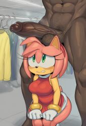 amy rose from sonic (series)