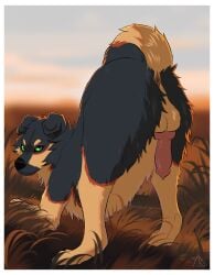 animal_genitalia animal_penis anus ass ass_up backsack balls black_body black_fur brown_body brown_fur canid canine canine_genitalia canine_penis canis domestic_dog erection feral fur genitals german_shepherd herding_dog hi_res knot knotted_penis male mammal midzushiro multicolored_body multicolored_fur pastoral_dog penis solo terwin two_tone_body two_tone_fur