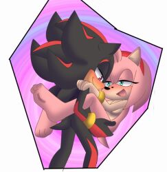 amy_rose angelofhapiness furry holding pink_fur pink_hair sega shadow_the_hedgehog sonic_(series) sonic_adventure_2 sonic_the_hedgehog_(series)