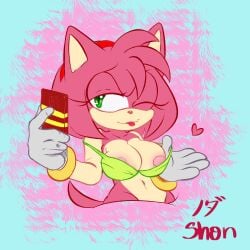 amy_rose bra furry large_breasts pink_fur pink_hair shon sonic_(series)