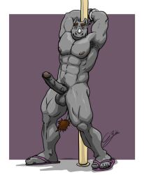 anthro armpit_hair balls body_hair bondage bound chestnuts_(artist) clothing cuff_(restraint) erection flip_flops footwear genitals handcuffs looking_at_viewer male male_focus male_only mammal metal_cuffs muscular nipples nude pole restraints rhinocerotoid sandals solo tail_between_legs