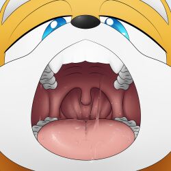 1:1 absurd_res canid canine fox gay hi_res imminent_vore izzyrain male male_only mammal mouth_shot open_mouth oral_invitation sega solo sonic_(series) sonic_the_hedgehog_(series) tails