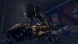 2boys 3d alien alien_(franchise) alien_only alien_vs_predator anthro azphyr black_body digital_media_(artwork) duo erection eyeless gay genitals hi_res interspecies male male/male male_only male_xenomorph nude penis pinned predator_(franchise) predator_hunting_grounds source_filmmaker teeth xenomorph yautja