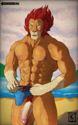 1boy abs anthro anthro_only big_penis clothing felid flaccid fur furry furry_only genitals hair hi_res kirlanlion lion lion-o male male_only mammal muscular muscular_anthro muscular_male nipples nude outside pantherine pecs penis pink_nipples pubes solo speedo spiky_hair swimwear tan_body tan_fur thundercats