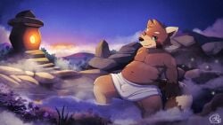 anthro belly blush bodily_fluids brown_body bulge claws cloud dawn_(disambiguation) detailed_background detailed_bulge fluffy fluffy_tail green_eyes hi_res hot_spring looking_at_viewer male male_only mammal markings navel outside procyonid raccoon risenpaw slightly_chubby smile solo steam sweat towel water wet wet_body