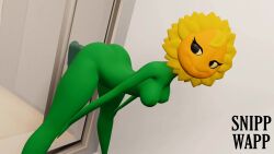 1girls 3d animated anthro anthrofied areolae ass bent_over blender breasts completely_nude completely_nude_female dildo electronic_arts female female_only flora_fauna looking_back looking_pleasured mp4 naked nipples no_sound nude plant plant_girl plant_humanoid plantie plants_vs_zombies plants_vs_zombies:_heroes sex_toy small_breasts smile snippwapp solar_flare_(pvz) solo solo_female sunflower_(pvz) video