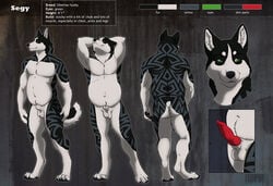 1boy abanob anthro canine canine_penis chubby erection furry green_eyes knot male male_only model_sheet musclegut muscles penis segy sheath solo tattoo