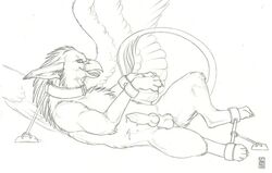 1boy avian bondage faithry feral gryphon line_art male male_only penis solo wings